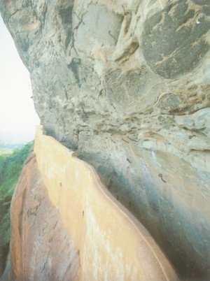 镜壁（Mirror Wall）。